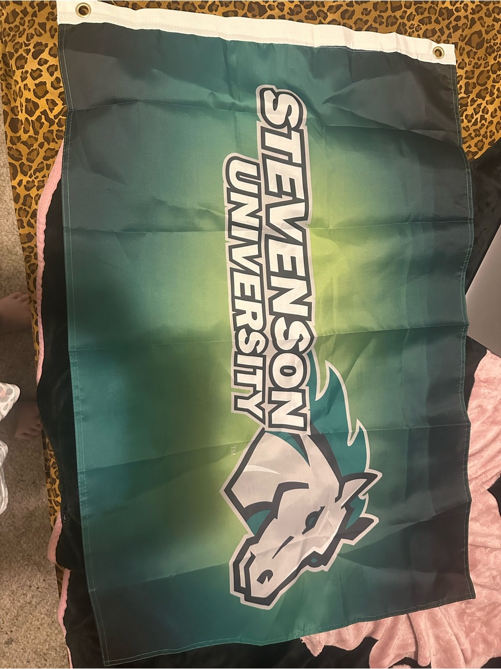 Green Ombre Wall Tapestry